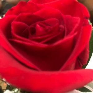 Meet your Posher, Ashika